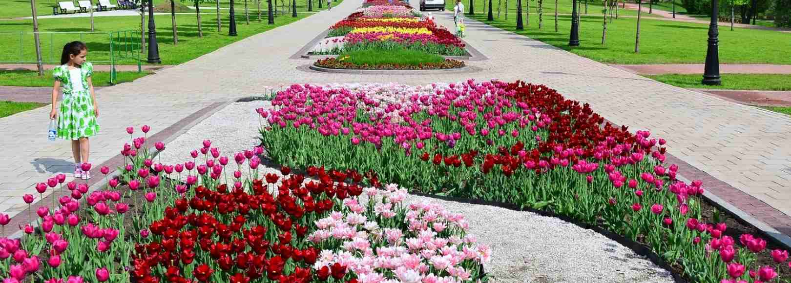 Фотография достопримечательности Парк Царицыно