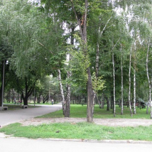 Фотография достопримечательности Парк имени Писаржевского