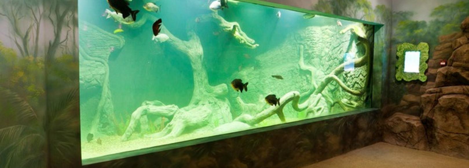 Фотография музея Океанариум Рио