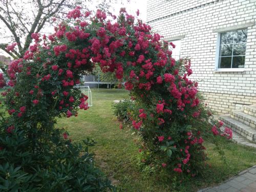 Фотография гостевого дома JOY