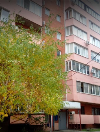 Фотография хостела BerryFlat