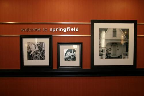 Фотография гостиницы Hampton Inn & Suites, Springfield SW