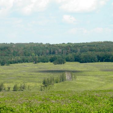 Старая Боголюбовка