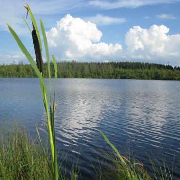 Беленево