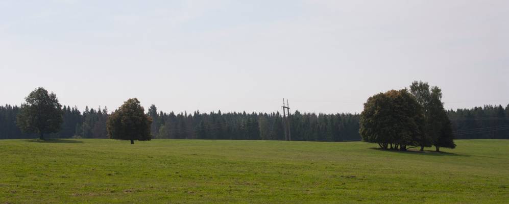 
            Фотография деревни Долженицы