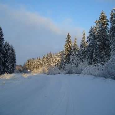 Заболотье