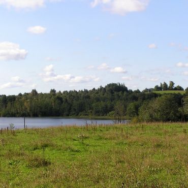 Павлищево