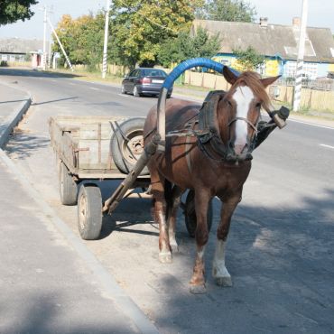 Кличевский