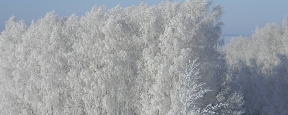 
            Фотография Акнеево