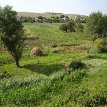 Дарьино-Ермаковка