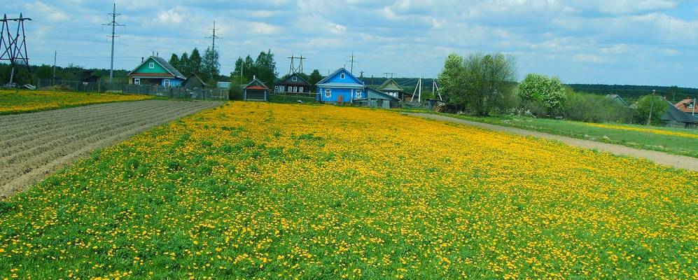 
            Фотография Веретеново