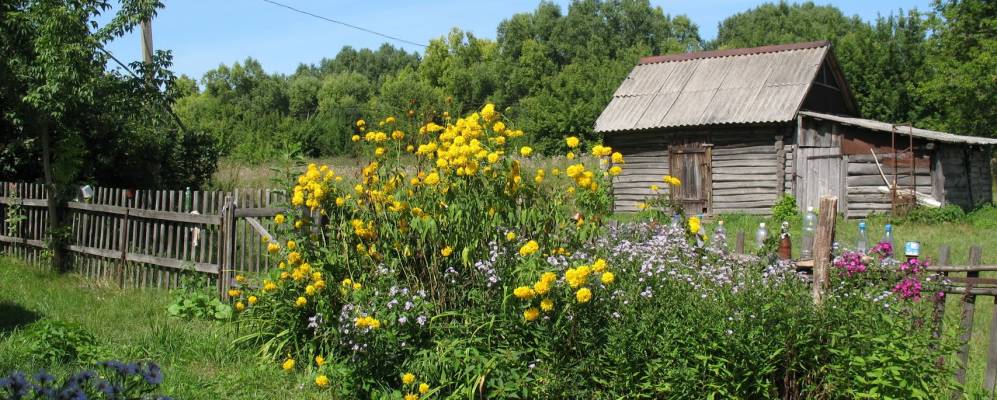 
            Фотография Муравлянки