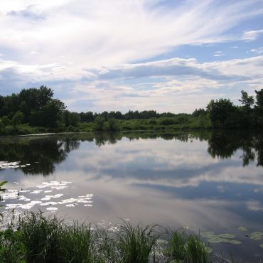 Великовское