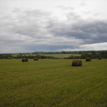 Артемьево