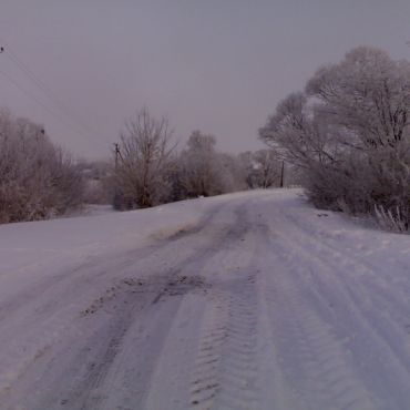 Сосновка