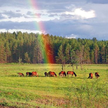 Сахули