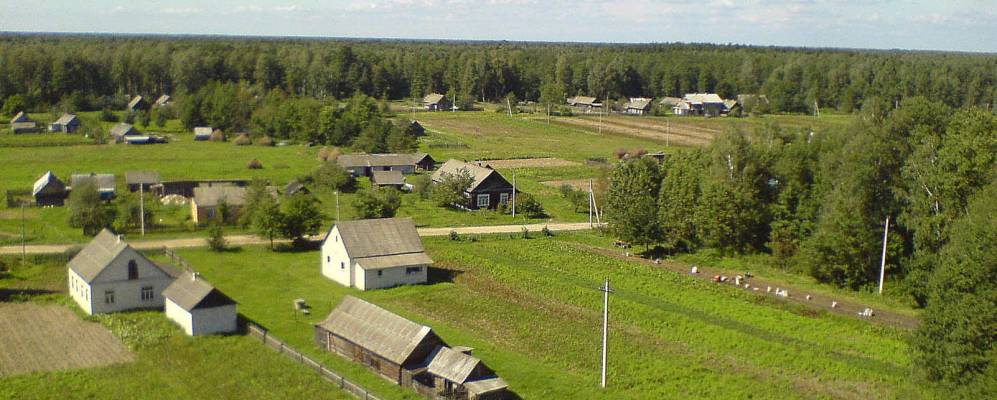 
            Фотография деревни Боровики