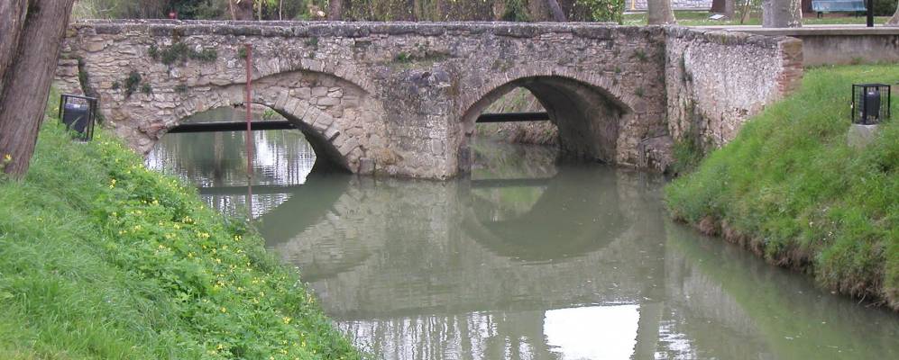 
            Фотография Auriac-sur-Vendinelle