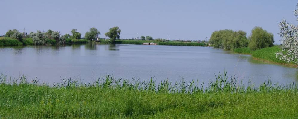 Село новая деревня. Новая деревня Крым. Крестьяновка Первомайский район Крым. Село Крестьяновка Первомайского района. Крестьяновка Первомайский район Крым рыбалка.