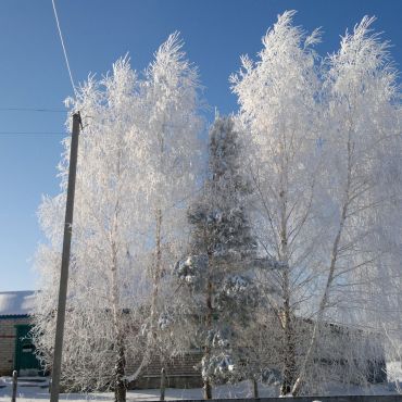 Большая Приваловка