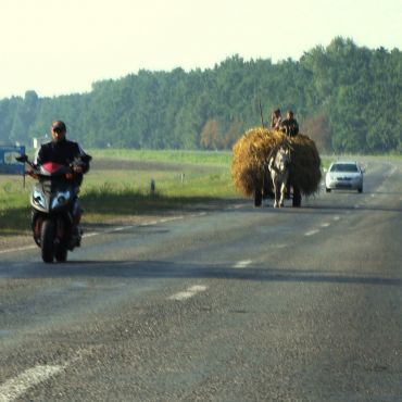 Белевица