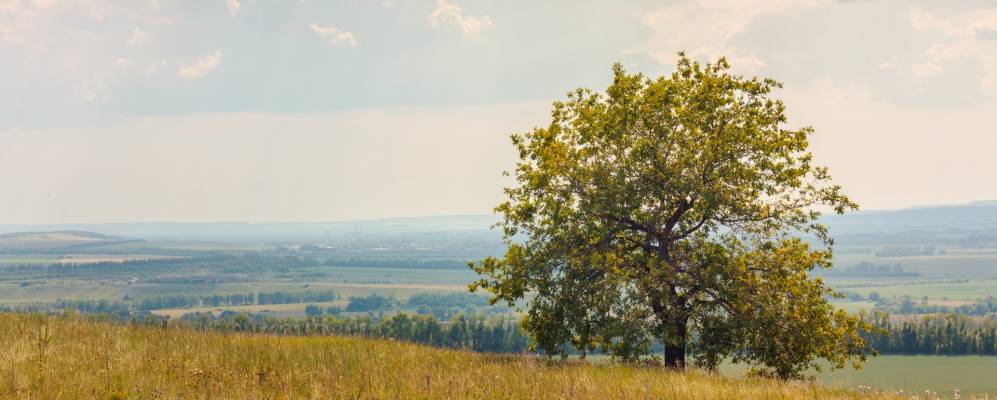 
            Фотография Балагач-Куля