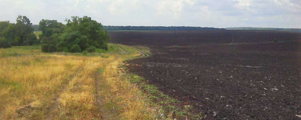 
            Фотография Алексеевки