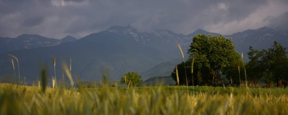 
            Фотография Порумбаку-де-Суса