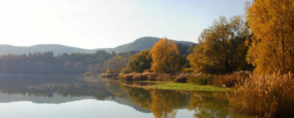 
            Фотография Варано-Борги