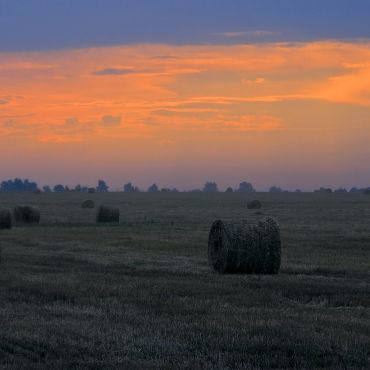 Волчья Дубрава