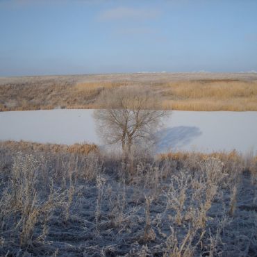 Рогатый Пруд