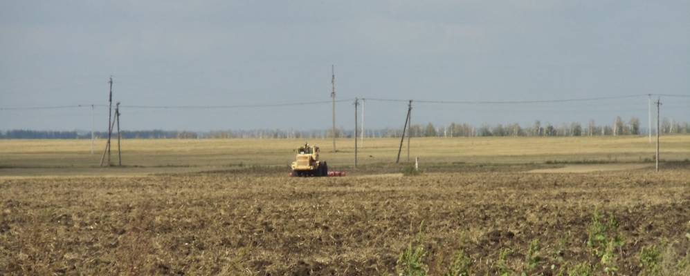 
            Фотография Второго Подгородища