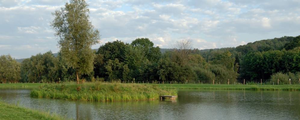 
            Фотография Stryszów