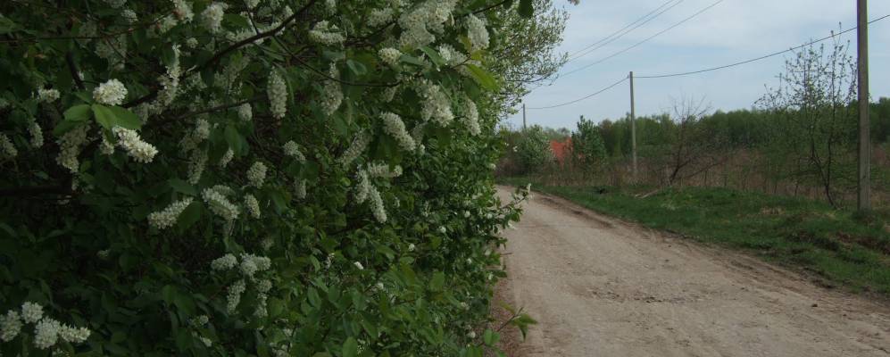 
            Фотография Волково