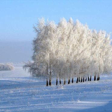 Новое Шигалеево