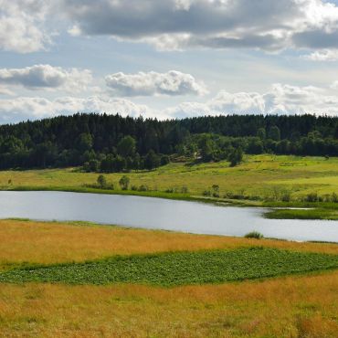 Зайцево