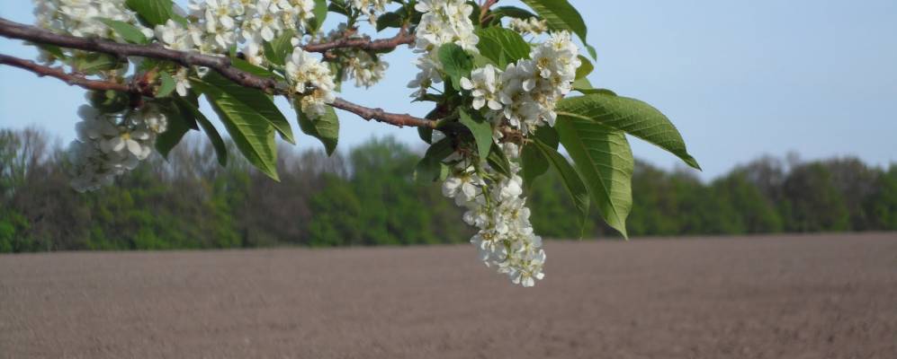 
            Фотография Ивановки