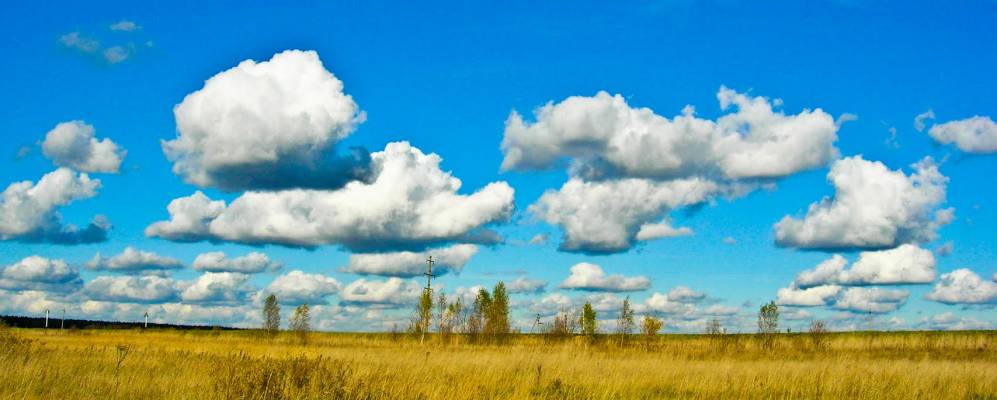 
            Фотография Кувакино