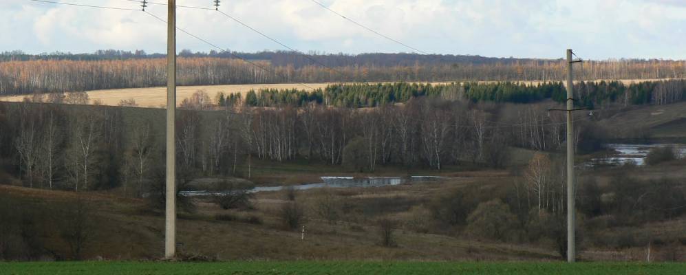 
            Фотография Репно-Никольского