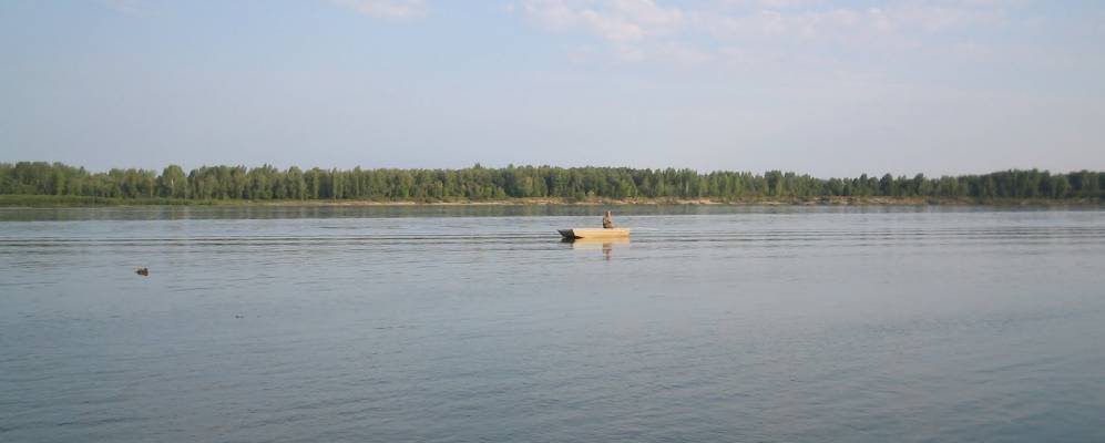 
            Фотография Половинки (Базанаково)