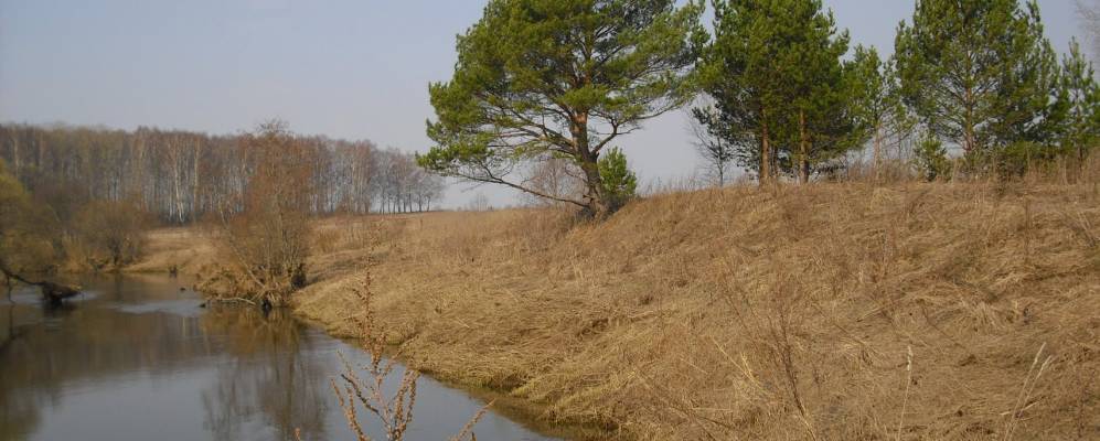 
            Фотография Бурцево