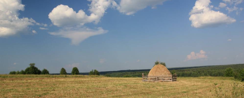 
            Фотография Дербина