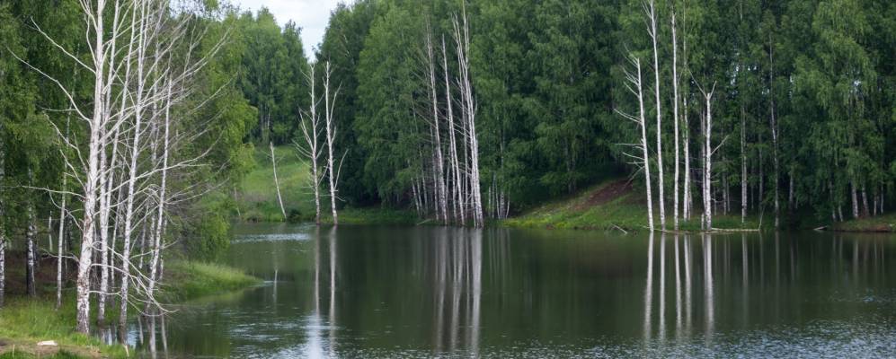 
            Фотография Кшклово