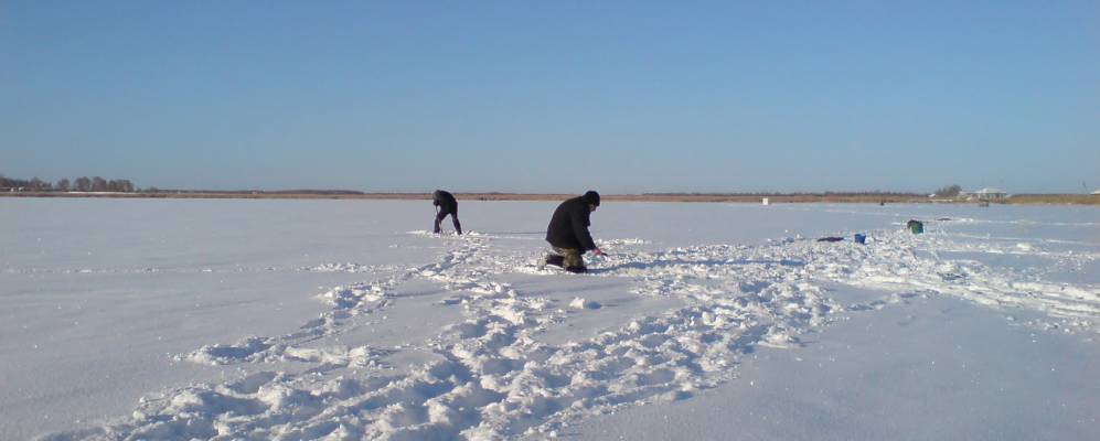 
            Фотография Пашково