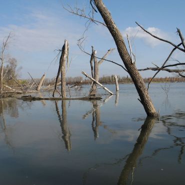 Кузурово