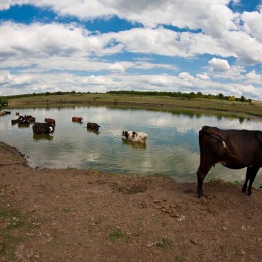 Безводня