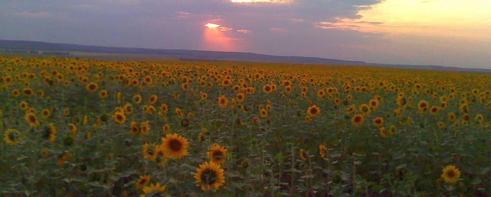 
            Фотография Нижней Мазы