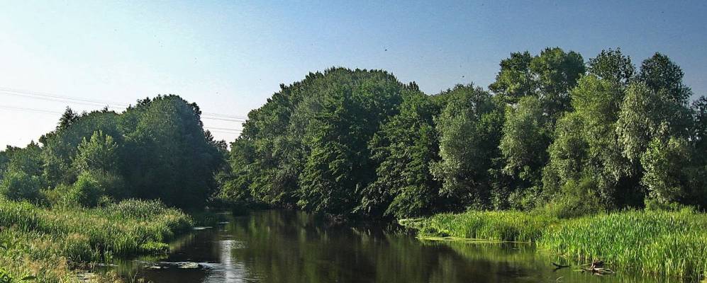 
            Фотография Павловки