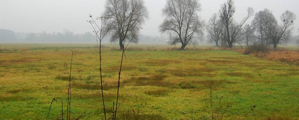 
            Фотография Leszno