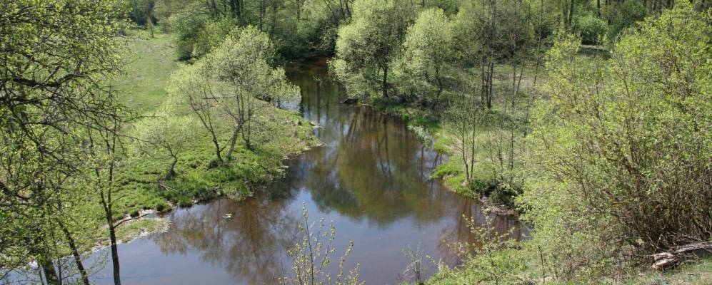 
            Фотография Вилятино